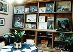 A view of the house interior Wallpaper