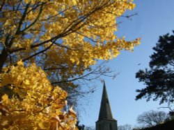 Autumn in South Hykeham Wallpaper