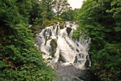 Swallow Water falls.