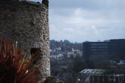 The sensory garden at Dudley Castle and Zoo Wallpaper