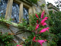 Mullioned window, Haddon Hall Wallpaper