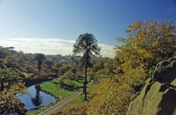 Bradgate Park. Wallpaper