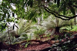 The Lost Gardens of Heligan Wallpaper