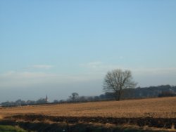 View towards Aubourn