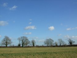 View across the fields, Aubourn Wallpaper