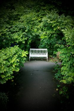 The garden at Hidcote.