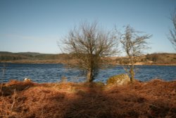 Fernworthy Reservoir Wallpaper