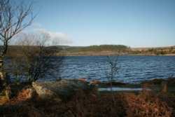 Fernworthy Reservoir Wallpaper