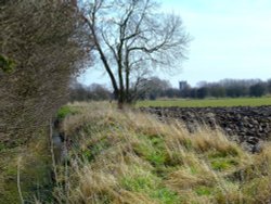 Eastrington church from the field Wallpaper