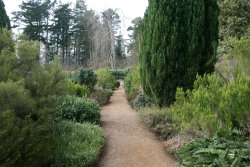 Belsay Hall gardens Wallpaper