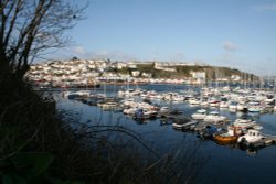 Brixham Harbour Wallpaper