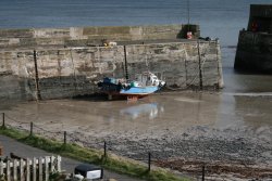 Craster Harbour Wallpaper