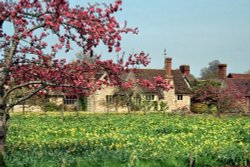 Adjoining buildings of Hever Castle Wallpaper