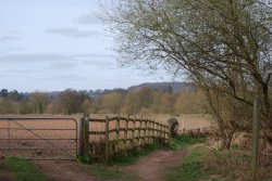 Walk along the Severn from Ribbesford to Bewdley Wallpaper