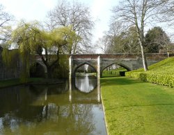 Eltham Palace Wallpaper