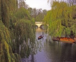 The River Cam. Wallpaper