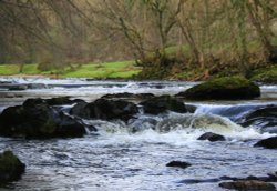 River Hodder Wallpaper