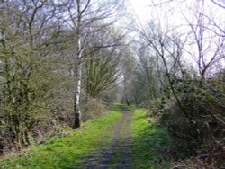 Walking the path around the lake at Denaby Ings Wallpaper