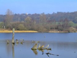 View across the lake at Denaby Ings Wallpaper