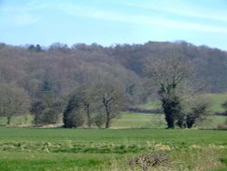 Scenery near Denaby Ings Wallpaper