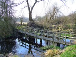 Stagnant pond and walkway Wallpaper