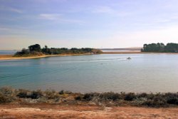 Arne Nature Reserve in Dorset Wallpaper