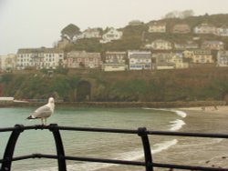 Looe Harbour Wallpaper