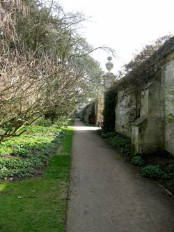 Oxford Botanical Gardens 66