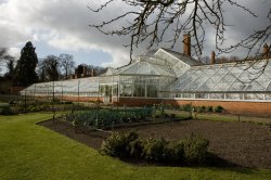 Clumber Greenhouse Wallpaper