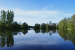 Lakeside Country Park, Eastleigh Wallpaper