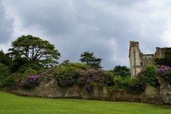 Ruins of Wardour Castle