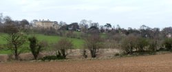 Cusworth Hall & Park across the fields Wallpaper