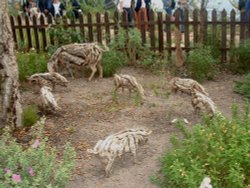 Wooden 'scultpures' at the Eden Project, Cornwall Wallpaper