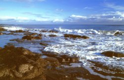 Craster Seascape. Wallpaper