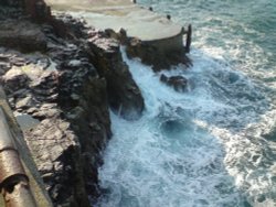 The Quarry, Berry Head, Brixham Wallpaper