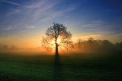 Misty sunrise near Branston Wallpaper