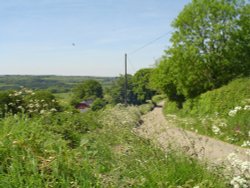 Country Lane