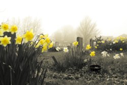 St. Mary the Virgin - Graveyard