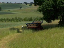 Old cart under tree at Hyde Hall Wallpaper