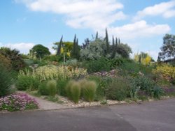 The Dry Garden at Hyde Hall Wallpaper