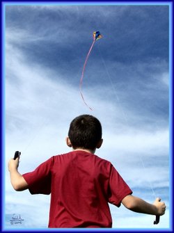 Kite Flying