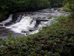 Aysgarth Falls