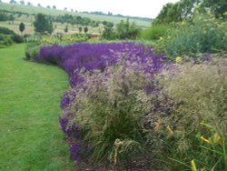 Hillside Garden