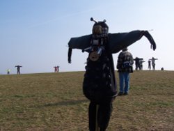 Scarecrows at Hyde Hall