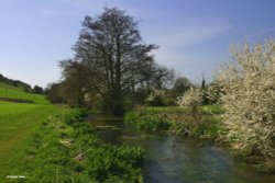 The River Cerne in Dorset