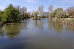 Jubilee Lake, Wootton Bassett Wallpaper