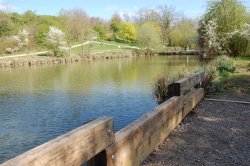 Jubilee Lake, Wootton Bassett Wallpaper