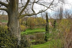 Springhead Gardens, Fontmell Magna Wallpaper