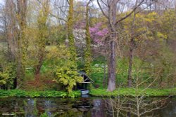 Springhead Gardens, Fontmell Magna Wallpaper