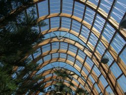 Winter Garden roof Wallpaper